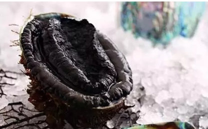 憶探索海洋里的黑鉆，你吃過沒？